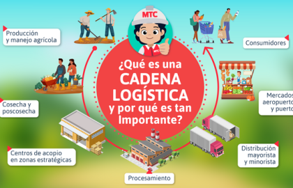 standard_Cadena_logistica